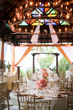 Wedding At Hope Gardens Ja Designed By Melanie Miller Weddings Blush Wedding Reception Decor By Helen G Events For In Kingston Jamaica