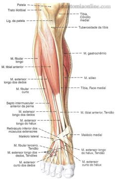 Escleroterapia cosmética clínica