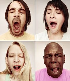 249 best yawning images