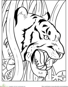 Growling Tiger Coloring Page