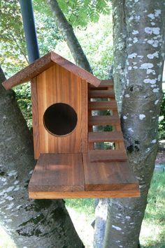 homemade squirrel house squirrel and homemade 207582d5281cdbccc1308cf729d4625e squirrel feeder bird feeders homemade squirrel house squirrel and homemade,Red Squirrel House Plans