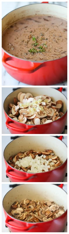 Equator College (equatorcollege) on Pinterest - champignon de maison merule Equator College (equatorcollege) on Pinterest - champignon de maison merule