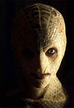 265 best reptilian images