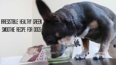 Love This Food Verus Pet Food They Understand What We Need For