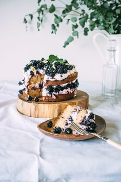 Hazelnut Blackberry Cake With Mascarpone Cream Hazelnut Blackberry Cake With Mascarpone Cream