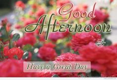 370 Afternoon Ideas In 21 Good Afternoon Quotes Afternoon Quotes Afternoons 370 Afternoon Ideas In 21 Good Afternoon Quotes Afternoon Quotes Afternoons