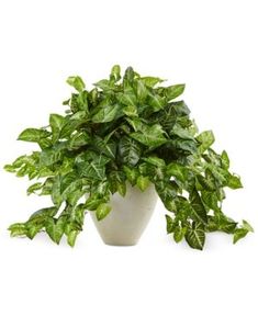 YNFNGXU Fake Flower Ornaments Water Lilies 5 Colors Used for Home Decoration Simulation Plastic Flowers Green Plants Small Potted Plants Color : E YNFNGXU Fake Flower Ornaments Water Lilies 5 Colors Used for Home Decoration Simulation Plastic Flowers Green Plants Small Potted Plants Color : E