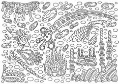 Doodle Malvorlage Coloring Pages By Onkelix Via Flickr