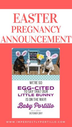 24 best pregnancy announcement ideas images on pinterest in 2018