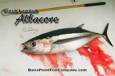 Hook up seafood on plank road
