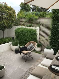 Reduced color scheme with mix of material (low stone wall in front of wooden screen) and formal hedge in front of stone wall. Raised bed with small spherical tree Small Backyard Garden Design, Small Backyard Gardens, Vertical Gardens, Small Backyard Landscaping, Patio Design, Backyard Patio, Backyard Ideas