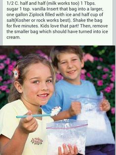 Homemade Ice Cream In A Bagyummy