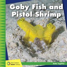 40 best goby fish