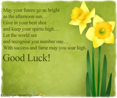 7 best good luck