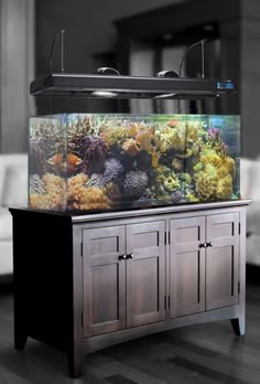 9 best acrylic aquarium