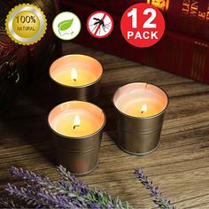 New Version 12 Pack Clear Cup Candles Scented Soy Tealights Old-Fashioned Lilac