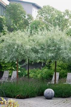 195 Best Garden Design Images On Pinterest In 2018 Backyard Patio Hw 12 X 15 Could Work In Multiples The Front Almbacken