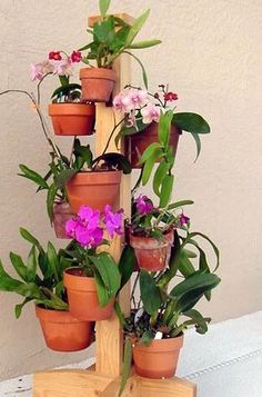 74 Best Orchid Designs Using Hangapot The Favorite Hanger Of 159 189 Plant Stands On Wheels Cedar Flower And Herb Poles Available From Hangapot
