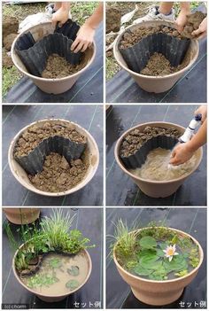 want to make a mini pond with literally no budget here is a great diy video tutorial the mini pond is a perfect garden decoration for your backyard or - Fairy Garden Terrarium want to make a mini pond with literally no budget here is a great diy video tutorial the mini pond is a perfect garden decoration for your backyard or - Fairy Garden Terrarium