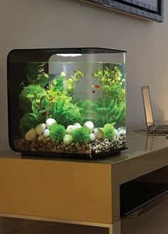 97 best fish tanks
