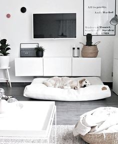 Miriam Bachleitner (miriambachleitn) auf Pinterest EKBY ALEX RAMSHULT Wandregal weißschwarz IKEA Österreich