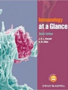 comprehensive pharmacy review 7th edition author leon shargel
