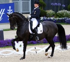 Besten Die 2019ChioPferde Von Bilder Chio Aachen 17 In OPiuwkZTX