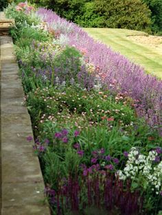 43 Best Narrow Border Images In 2020 Garden Design Outdoor 43 Best Narrow Border Images In 2020