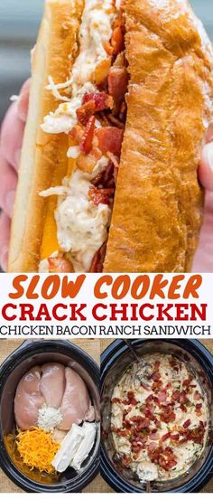 Slow Cooker Chicken Bacon Ranch Sandwiches, also sometimes referred to as "crack chicken" are made with bacon, cream cheese, chicken, cheddar cheese and ranch seasonings and they're a family favorite! ~~ CLICK PIN TO READ MORE ~~| Crockpot | Crockpot Recipes | Crockpot Meals | Crockpot Chicken | Crockpot Recipes Chicken | Crock pot Recipes Healthy | Crock Pot Recipes Easy | Crock Pot Recipes Beef | Crock Pot Chicken Recipes | #thegoodfoods