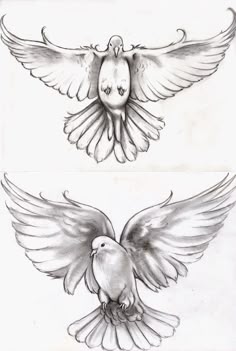 dove drawing tattoo idea the top one