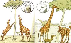 darwin vs lamarck evolution pinterest darwin lamarck vs darwin venn diagram