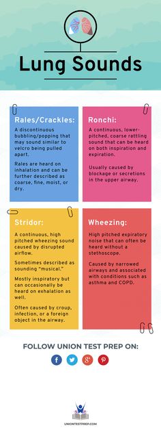 Are you a nursing, PA, or med student learning how to listen to breath sounds? Find out the subtle differences between each type of lung sound here! Nursing Assessment, Nursing Mnemonics, Medical Assistant Student, Nursing Cheat Sheet, Nursing School Tips