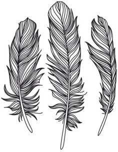 17 best feather images on pinterest feather vector feathers and