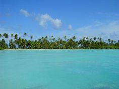 christmas island crabs millions beautiful cool red christmas christmas island pacific ocean
