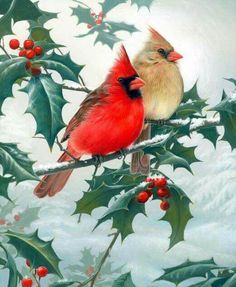 dogwood pair cardinal spring house flag floral decorative yard cardinal flyers