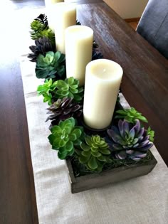 Spring Succulent Garden Idea Diy Centerpiecessucculent Centerpiecesmy Springsucculents Gardendining Room Table Spring Succulent Garden Idea Diy Centerpiecessucculent Centerpiecesmy Springsucculents Gardendining Room Table
