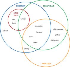 how to draw venn diagram