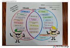 show your understanding complete the venn diagram of mitosis and venn diagram meiosis and mitosis