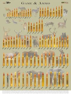 Ammo Size Chart Photo Ammunition Www Gunholstersunlimited Cartridge Comparison Guide S Photos More