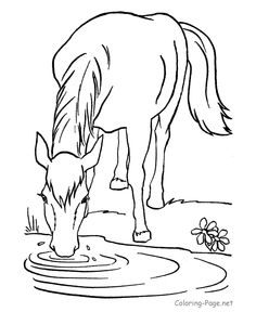 free horse coloring pages printable horse coloring sheets horses to color