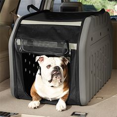 best dog crate for car travel best dog crate for car travel