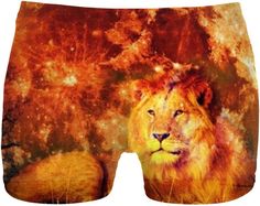 Brief Underwear Gender Neutral Brief Underwear Gender Neutral
