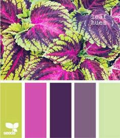 125 best purple green designs images colors purple armchairs purple and green designs