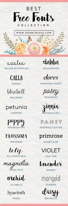 Best Fonts and Proper Font Size for Resumes Craft - font size for resumes Best Fonts and Proper Font Size for Resumes Craft - font size for resumes