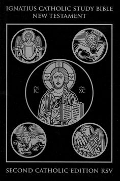 Book by book bible study guide pdf