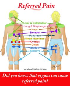 back muscle tear pull or strain back injuries amp spine visceral referral pattern chart