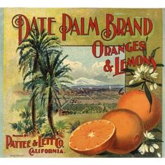 Sierra Madre California Mt Mount Lowe Lemon Citrus Fruit Crate Label Art Print