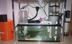 22 best ryan aquarium