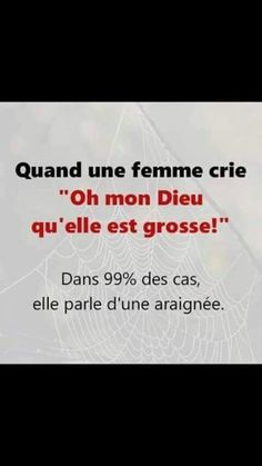 900 Idees De Auberge Espagnole Citation Humour Espagnol Illustration De Chat 900 Idees De Auberge Espagnole Citation Humour Espagnol Illustration De Chat