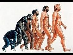 en el origen del ser humano en el origen del ser humano